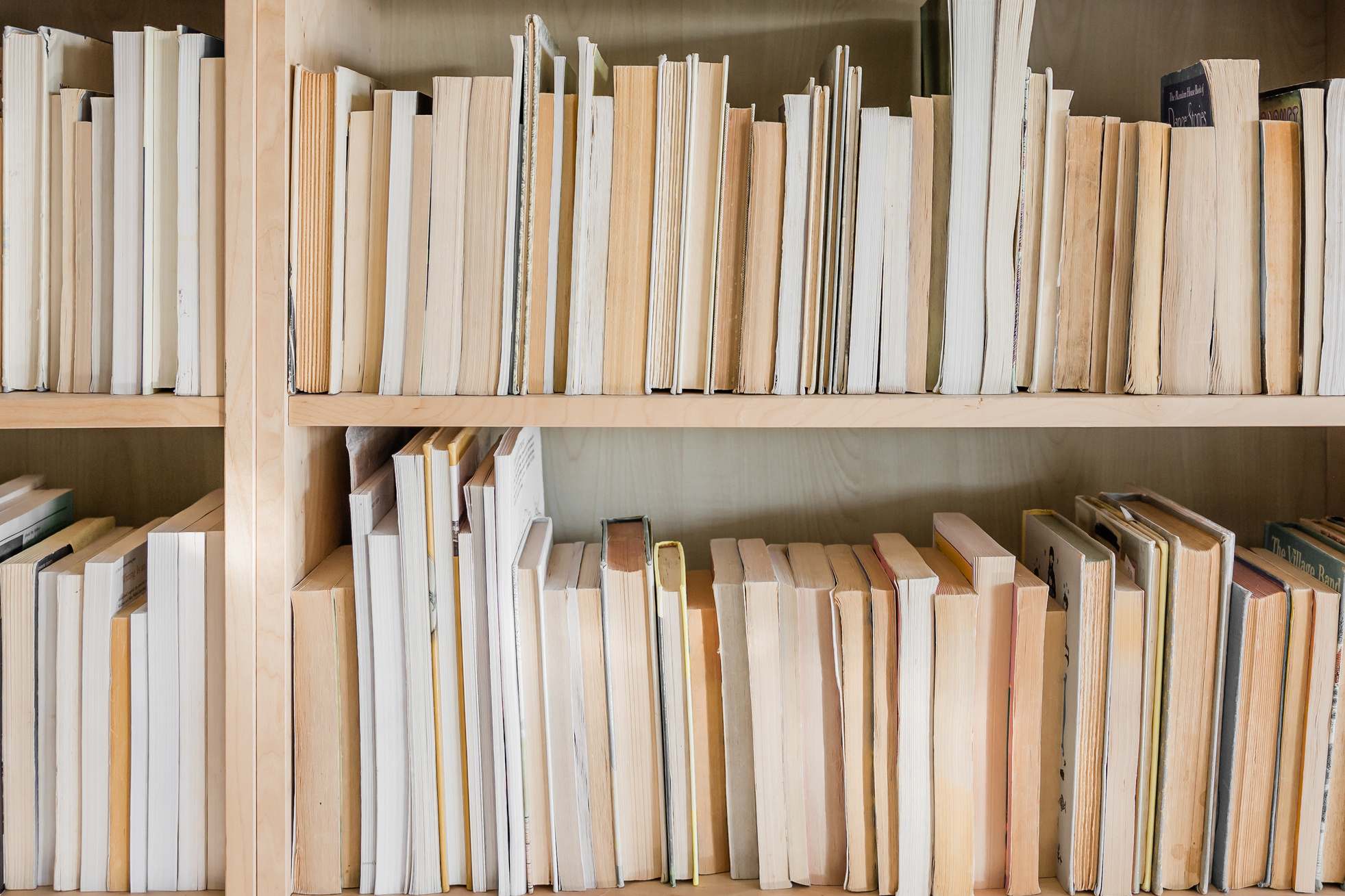 Shelves Filled with Vintage Books